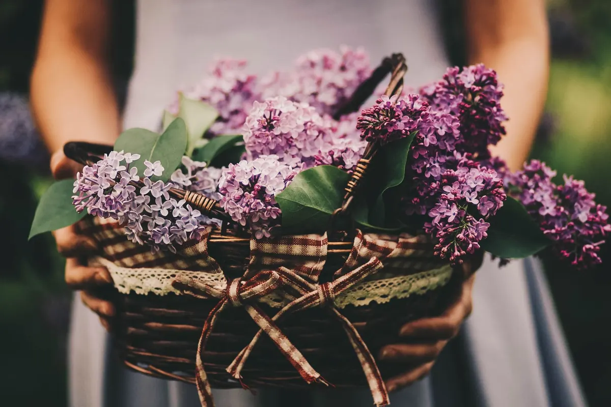 Luxury Gift Guide for New Homeowners: 10 Thoughtful Ideas Under £100